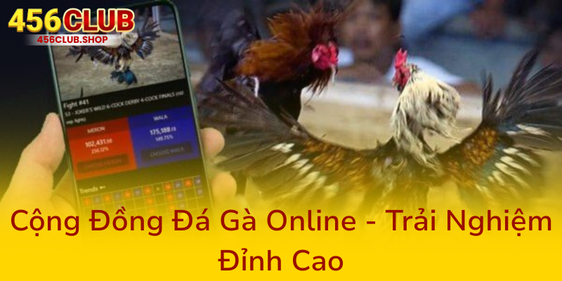 Đá Gà 456Club - Nhà Cái Mang Đến Trải Nghiệm Độc Nhất Cho Người Yêu Cá Cược Gà 3 Cong Dong Da Ga Online Trai Nghiem Dinh Cao0