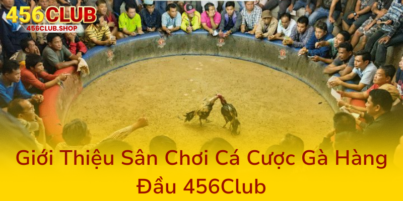Đá Gà 456Club - Nhà Cái Mang Đến Trải Nghiệm Độc Nhất Cho Người Yêu Cá Cược Gà 1 Gioi Thieu San Choi Ca Cuoc Ga Hang Dau 456Club0