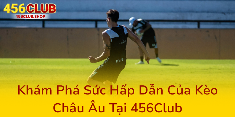 Kham Pha Suc Hap Dan Cua Keo Chau Au Tai 456Club0