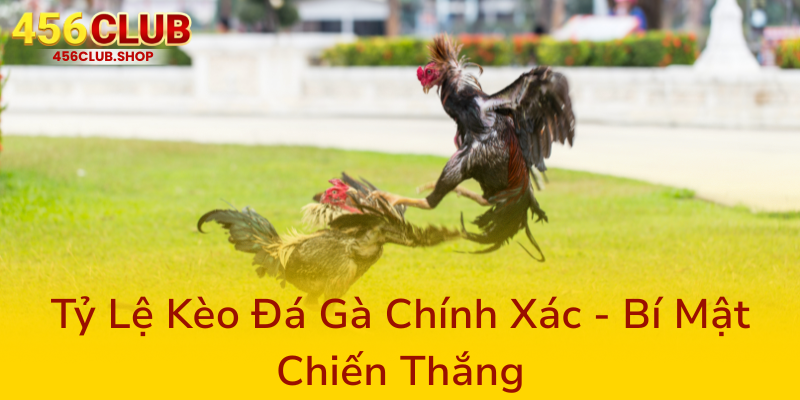 Đá Gà 456Club - Nhà Cái Mang Đến Trải Nghiệm Độc Nhất Cho Người Yêu Cá Cược Gà 2 Ty Le Keo Da Ga Chinh Xac Bi Mat Chien Thang0